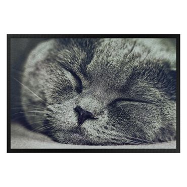 Doormat - Sleeping Cat