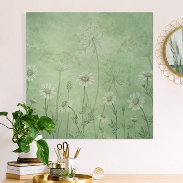 Print on canvas - Daisies in the green mist - Square 1:1