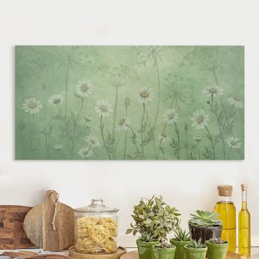 Print on canvas - Daisies in the green mist - Landscape format 2:1