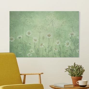 Print on canvas - Daisies in the green mist - Landscape format 3:2