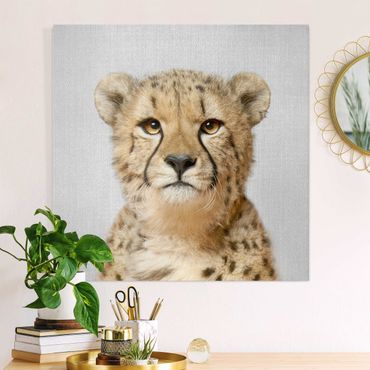 Canvas print - Cheetah Gerald - Square 1:1