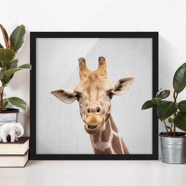 Framed poster - Giraffe Gundel