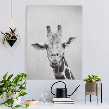 Canvas print - Giraffe Gundel Black And White - Portrait format 3:4