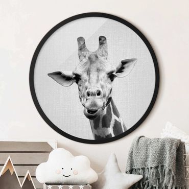 Circular framed print - Giraffe Gundel Black And White