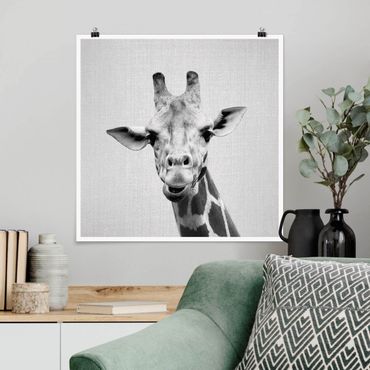 Poster art print - Giraffe Gundel Black And White