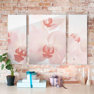 Glass print 3 parts - Bright Orchid Flower Wallpaper - Svelte Orchids
