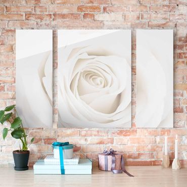 Glass print 3 parts - Pretty White Rose