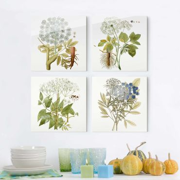Glass print 4 parts - Wild Herbs Board Set II