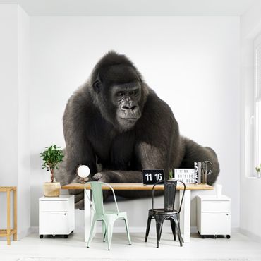 Wallpaper - Gorilla I