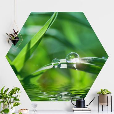 Self-adhesive hexagonal pattern wallpaper - Green Ambiance II