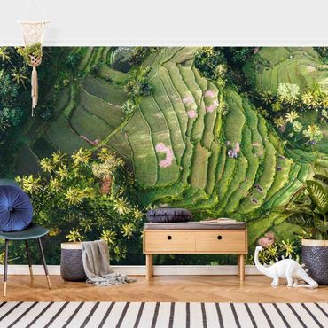 Wallpaper - Green Terraces