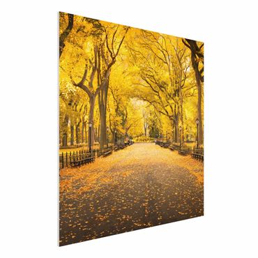 Print on forex - Autumn In Central Park - Square 1:1