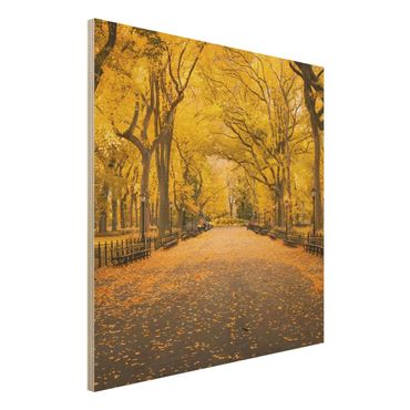 Wood print - Autumn In Central Park