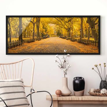 Framed poster - Autumn In Central Park
