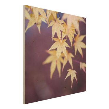 Wood print - Autumn Maple Tree