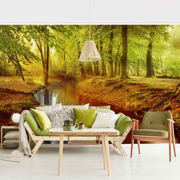 Wallpaper - Autumn Forest
