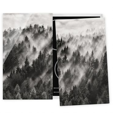 Glass stove top cover - Light Rays In The Coniferous Forest