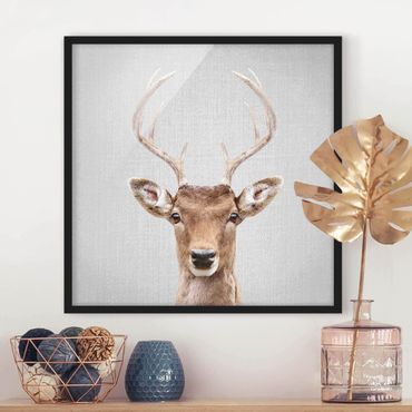 Framed poster - Deer Heinrich