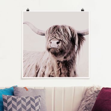 Poster - Highland Cattle Frida In Beige