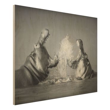 Wood print - Hippo Fight