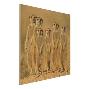 Wood print - Meerkat Family