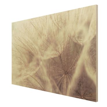 Wood print - Detailed Dandelion Macro Shot With Vintage Blur Effect