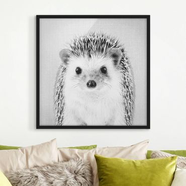 Framed poster - Hedgehog Ingolf Black And White