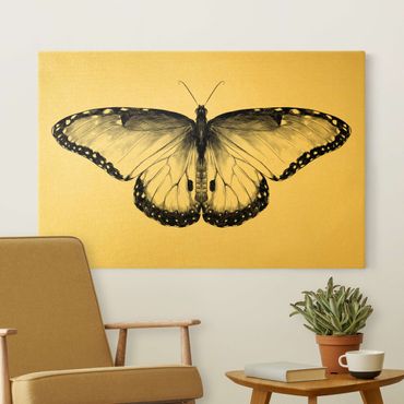 Print on canvas - Illustration Flying Common Morpho Black  - Landscape format 3x2