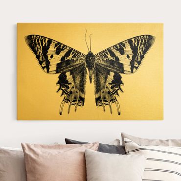 Print on canvas - Illustration Flying Madagascan Butterfly - Landscape format 3x2