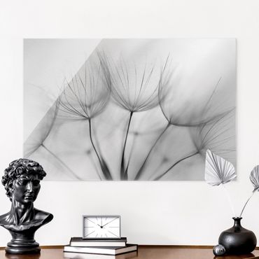 Glass print - Inside A Dandelion Black And White - Landscape format