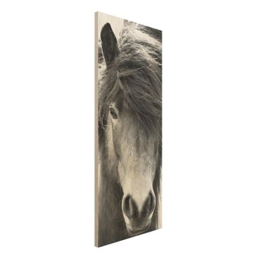 Wood print - Icelandic Horse In Black And White