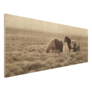 Wood print - Wild Icelandic Horse