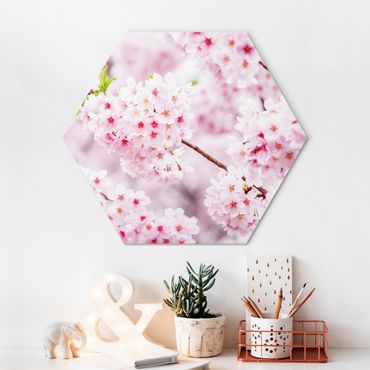 Alu-Dibond hexagon - Japanese Cherry Blossoms