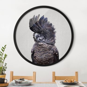 Circular framed print - Cockatoo Kanye