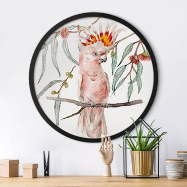 Circular framed print - Cockatoo With Pink Feathers