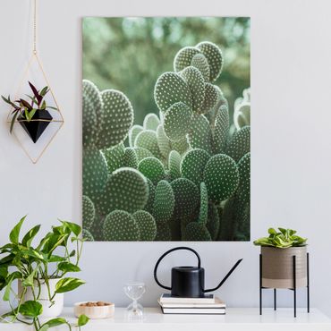 Canvas print - Cacti