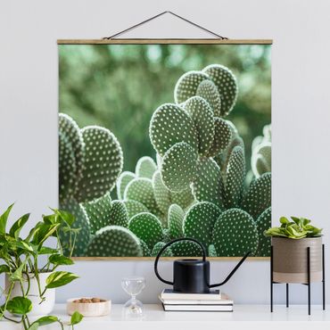 Fabric print with poster hangers - Cacti - Square 1:1