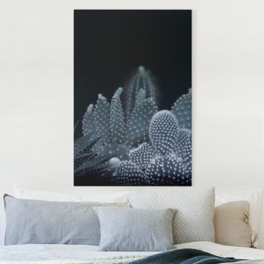 Canvas print - Familiy Of Cacti At Night