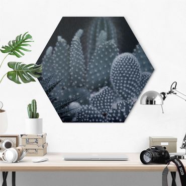 Alu-Dibond hexagon - Familiy Of Cacti At Night