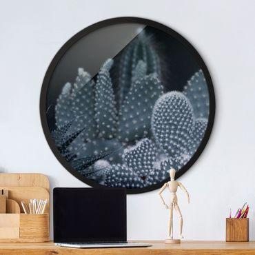 Circular framed print - Familiy Of Cacti At Night
