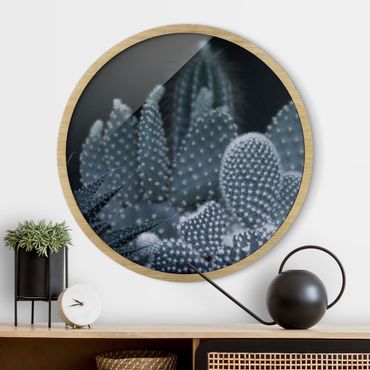Circular framed print - Familiy Of Cacti At Night