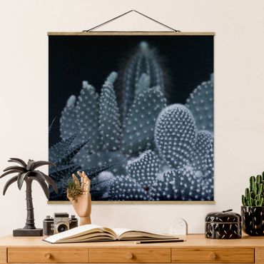 Fabric print with poster hangers - Familiy Of Cacti At Night - Square 1:1