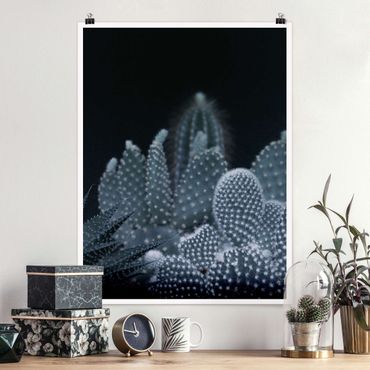 Poster - Familiy Of Cacti At Night