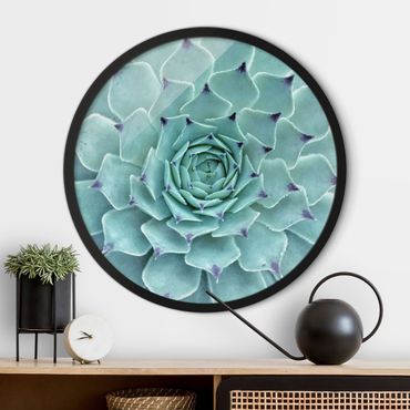Circular framed print - Cactus Agave