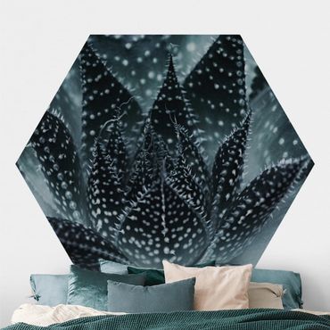 Self-adhesive hexagonal pattern wallpaper - Cactus Drizzled With Starlight At Night