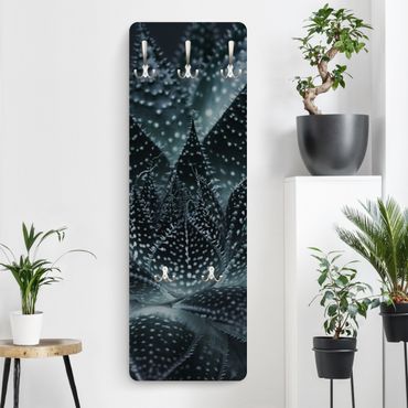 Coat rack modern - Cactus Drizzled With Starlight At Night