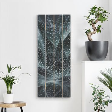 Wooden coat rack - Cactus Drizzled With Starlight At Night