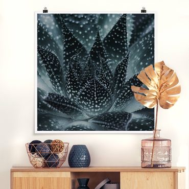 Poster - Cactus Drizzled With Starlight At Night