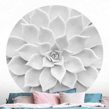 Self-adhesive round wallpaper - Cactus Succulent