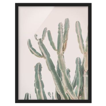 Framed prints - Cactus in front of pastel pink
